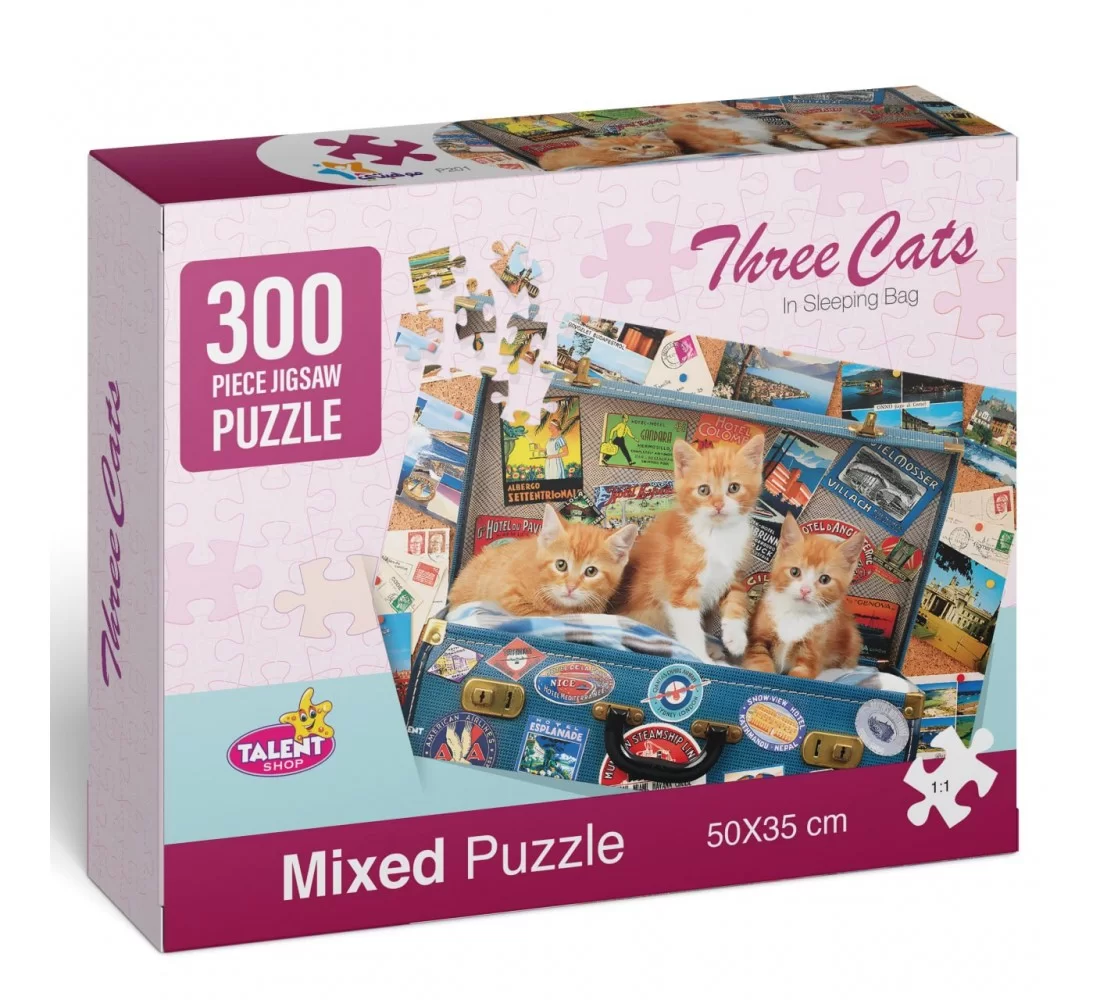 image of R45-2 بازل 300 قظعه